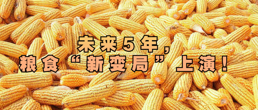 未來5年，糧食“新變局”上演！